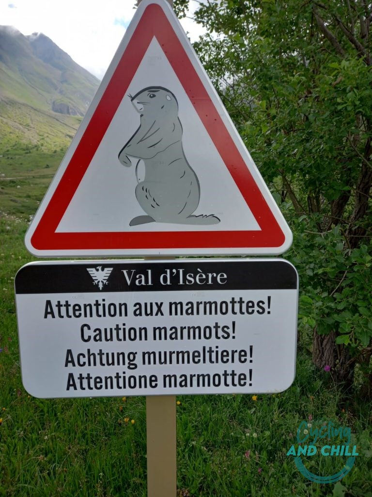 Panneau marmottes
